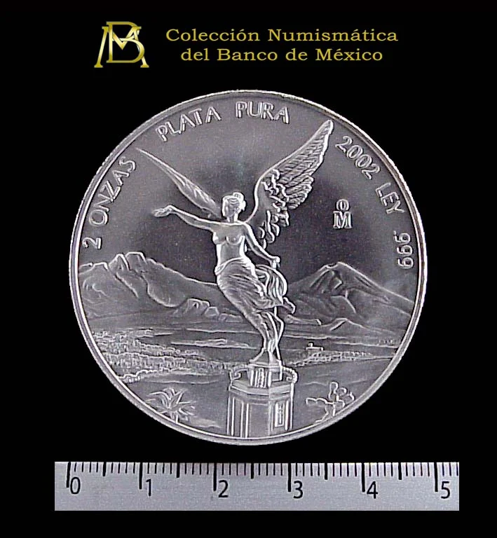2 oz Libertad Plata 2002 · Inventario Banxico 20879 (reverso)