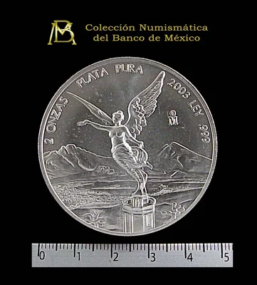 2 Onzas Libertad Plata 2003 · Reverso