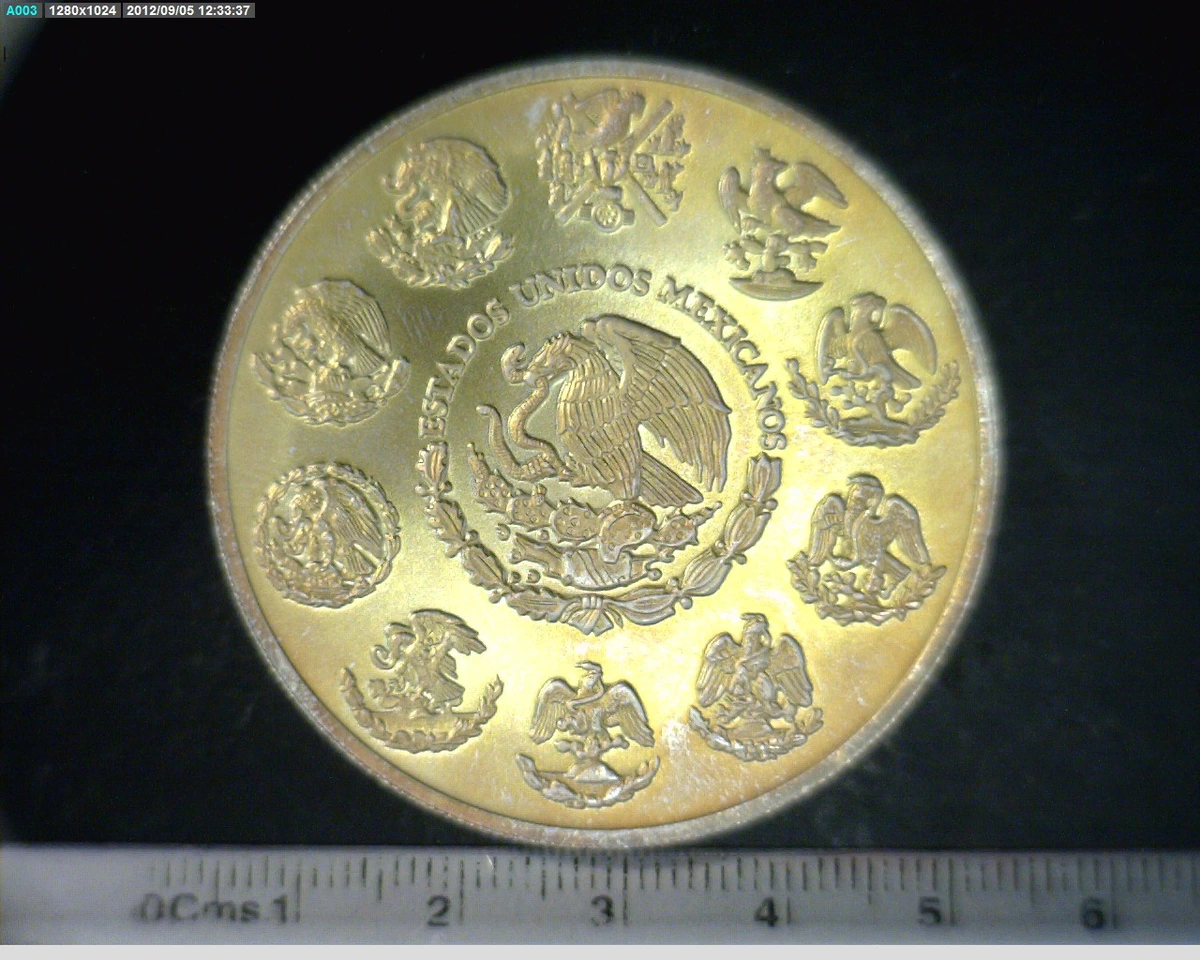 2-onza-libertad-plata-2008 - anverso (Banxico)