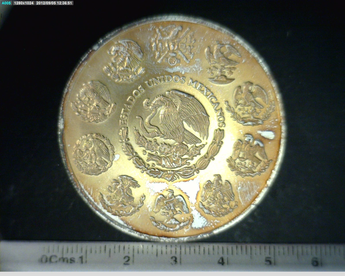 2-onza-libertad-plata-2009 - anverso (Banxico)