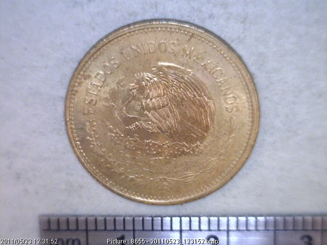 20 Centavos Latón 1984 (anverso)