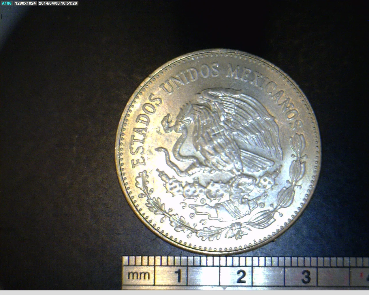 20 Pesos Cuproníquel 1981 (anverso)