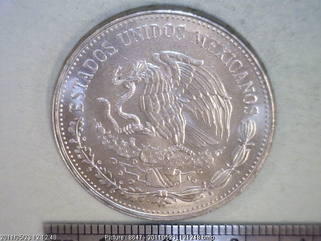 20 Pesos Cuproníquel 1984 (anverso)