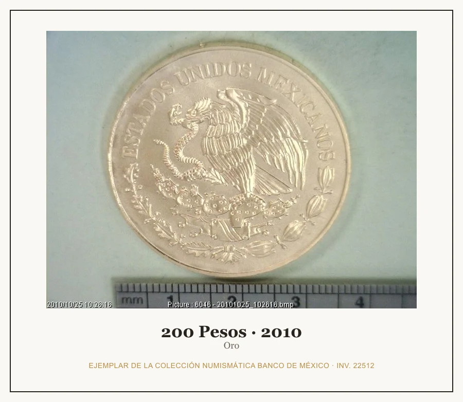 Moneda destacada de la serie Conmem 200 Pesos Bicentenario Independencia