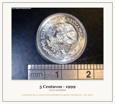 5 Centavos · 1999 — Ejemplar de la Colección Numismática Banco de México, inv. 20247