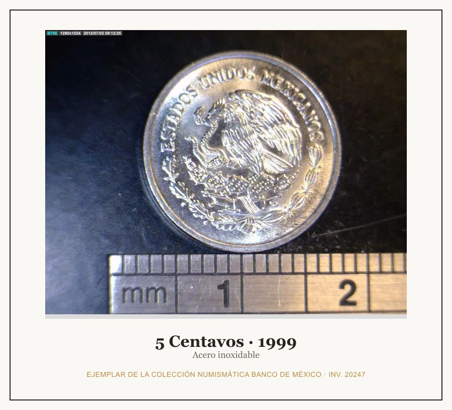 5 Centavos · 1999 — Ejemplar de la Colección Numismática Banco de México, inv. 20247