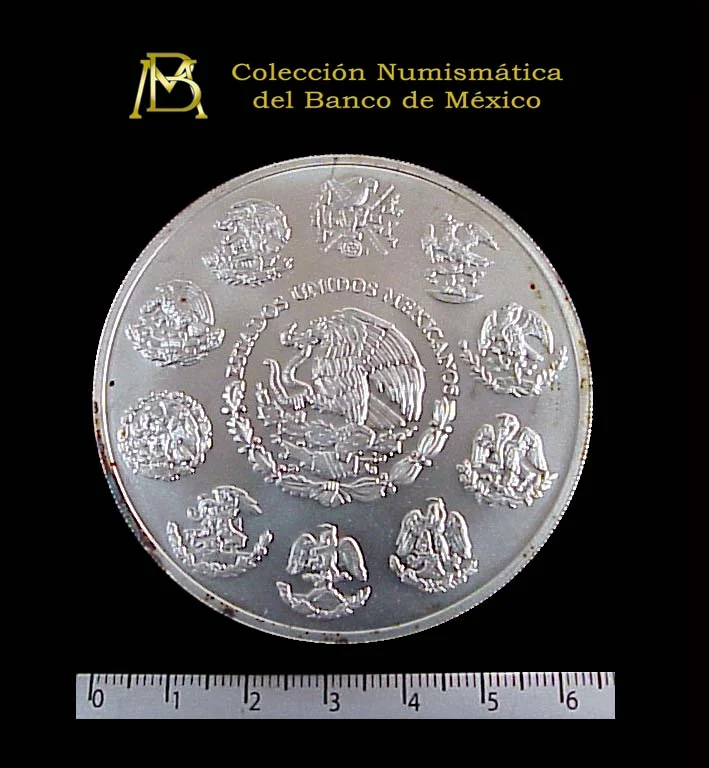 5 oz Libertad Plata 2000 · Inventario Banxico 20850 (anverso)