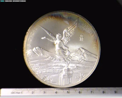 5 oz Libertad Plata 2006 · Inventario Banxico 21812 (reverso)