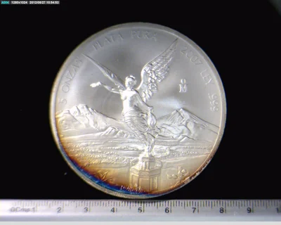 5 oz Libertad Plata 2007 · Inventario Banxico 21825 (reverso)
