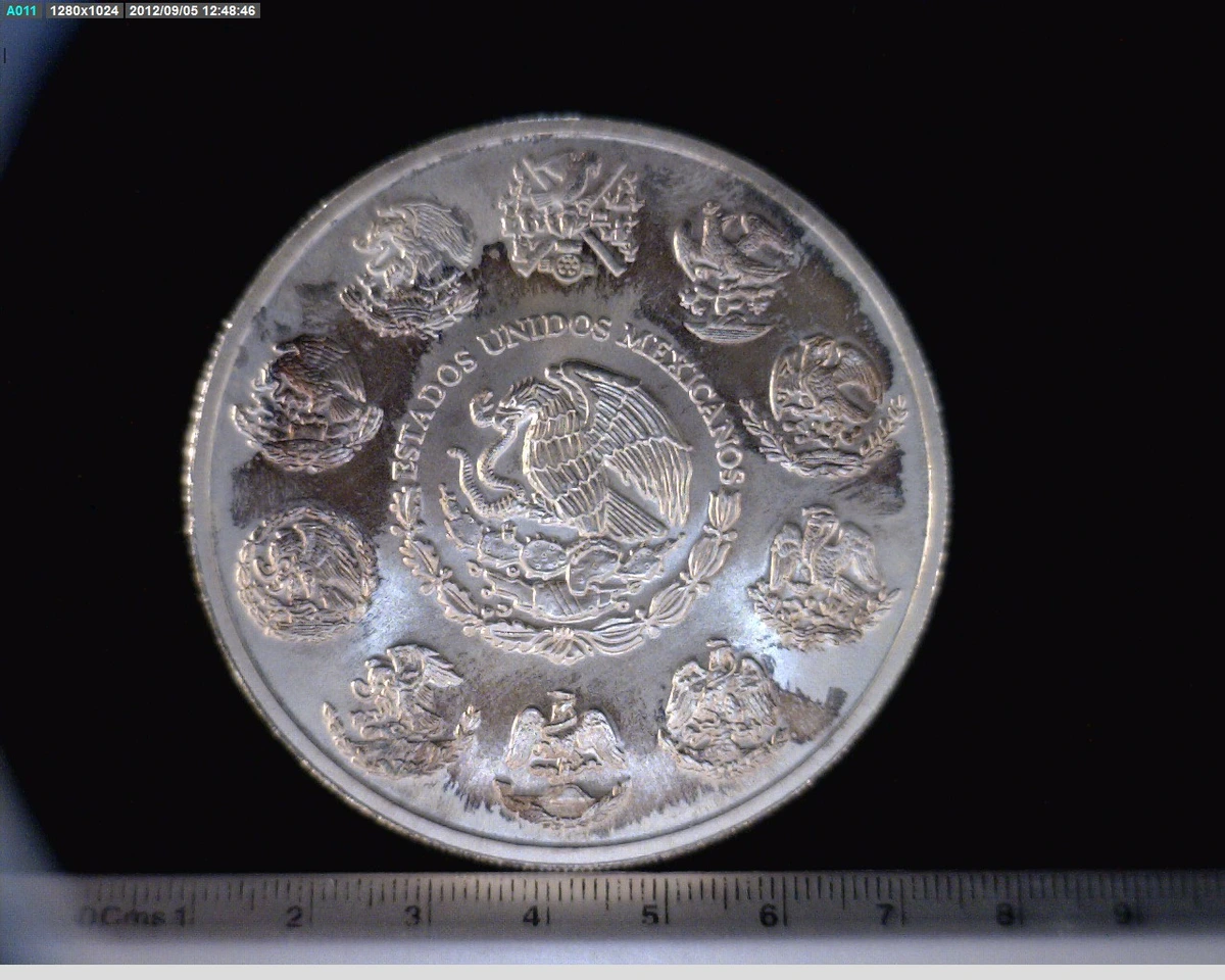 5-onza-libertad-plata-2009 - anverso (Banxico)