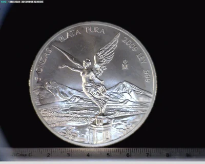 5 Onzas Libertad Plata 2009 · Reverso