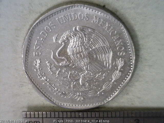 5 Pesos Cuproníquel 1981 (anverso)