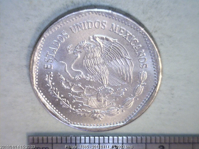 5 Pesos Cuproníquel 1982 (anverso)