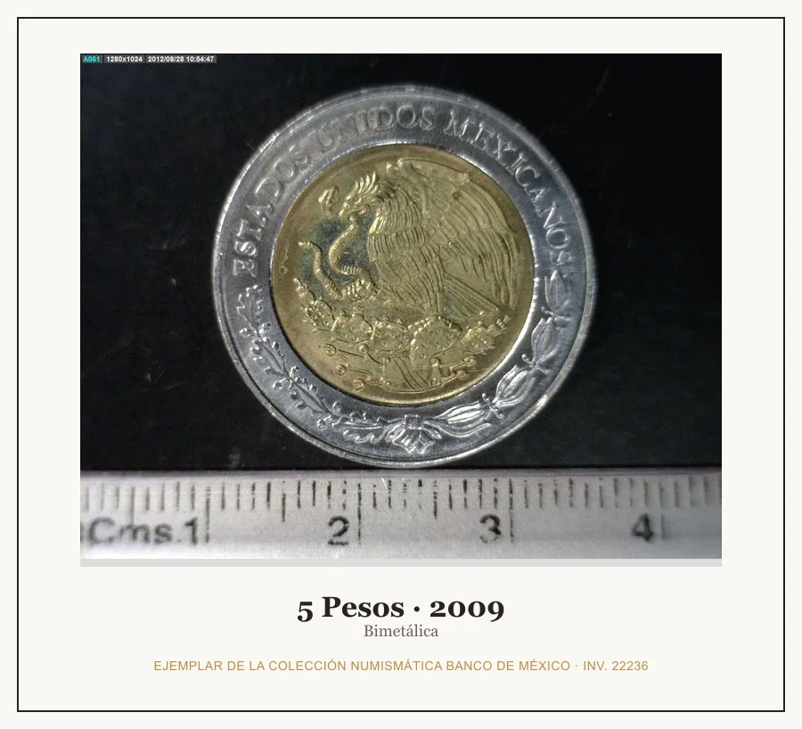 5 Pesos · 2009 — Ejemplar de la Colección Numismática Banco de México, inv. 22236