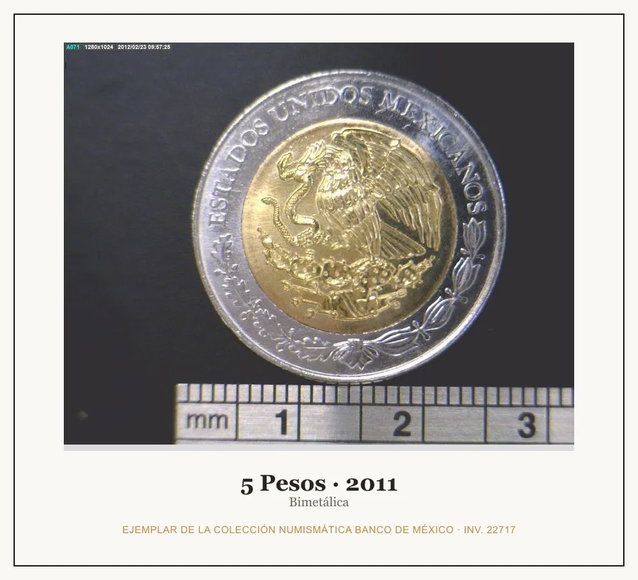 5 Pesos · 2011 — Ejemplar de la Colección Numismática Banco de México, inv. 22717