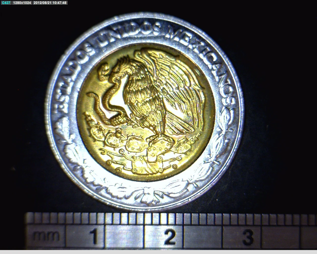 5 Pesos Bicentenario de la Independencia de México: Francisco Xavier Mina 2008 · Anverso