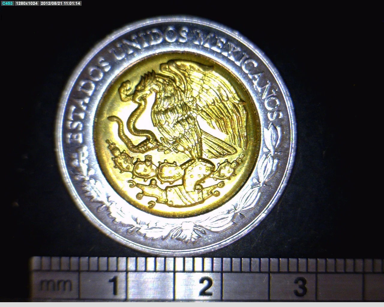5 Pesos Bicentenario de la Independencia de México: Hermenegildo Galeana 2008 · Anverso