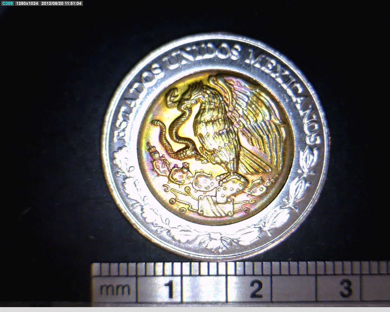 5 Pesos Bicentenario de la Independencia de México: Ignacio López Rayón 2008 · Anverso