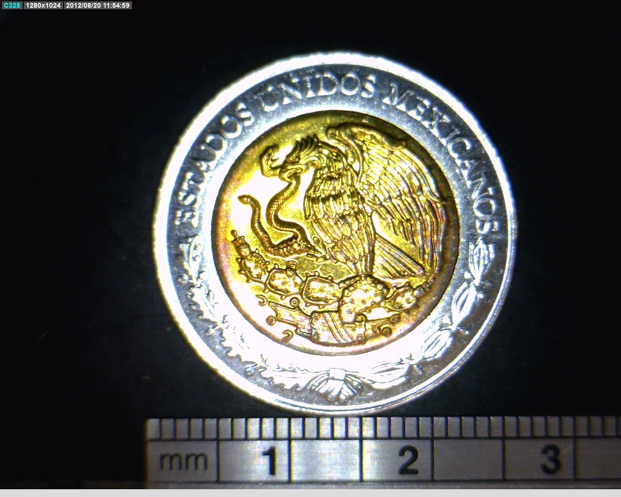 5 Pesos Bicentenario de la Independencia de México: Miguel Ramos Arizpe 2008 · Anverso