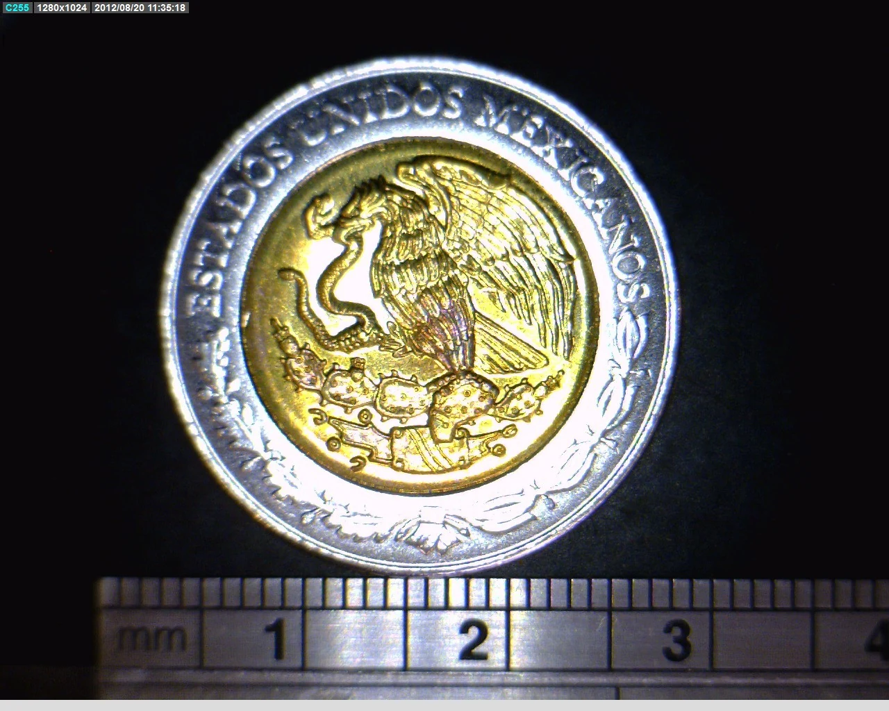 5 Pesos Bicentenario de la Independencia de México: Francisco Primo de Verdad y Ramos 2008 · Anverso