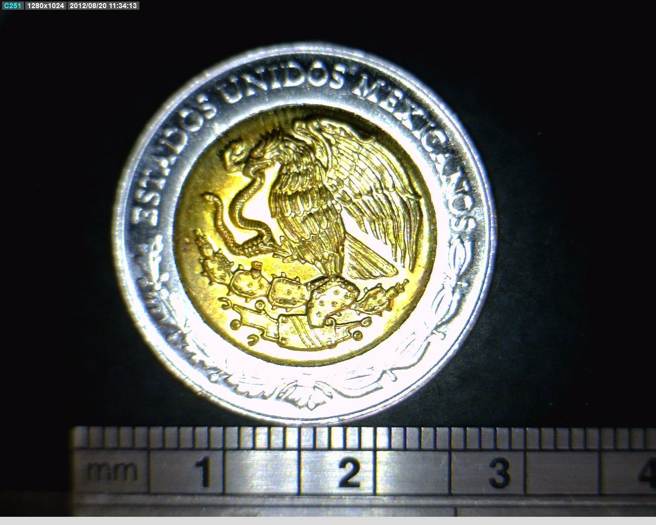 5 Pesos Bicentenario de la Independencia de México: Francisco Primo de Verdad y Ramos, sin puntos 2008 · Anverso