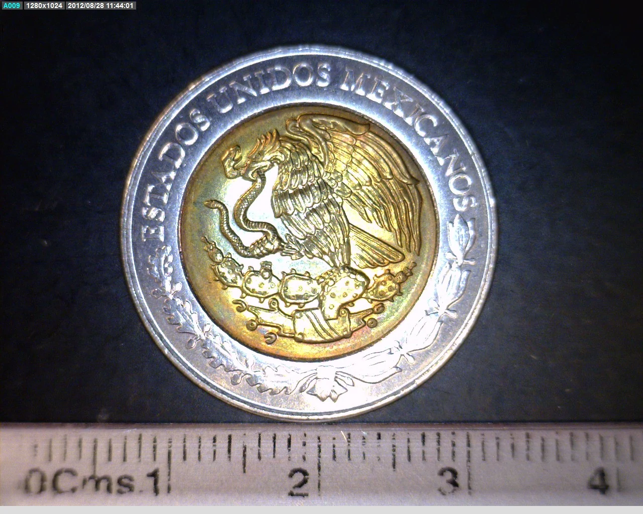5 Pesos Bicentenario de la Independencia de México: Servando Teresa de Mier 2009 · Anverso