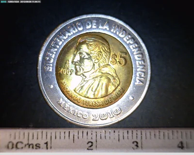 5 Pesos Bicentenario de la Independencia de México: Servando Teresa de Mier 2009