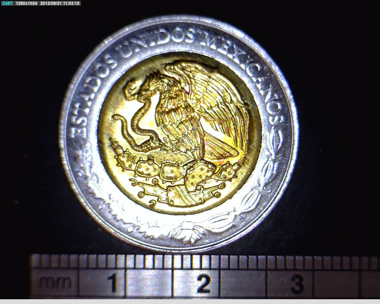 5 Pesos Centenario de la Revolución Mexicana: Ricardo Flores Magón 2008 · Anverso