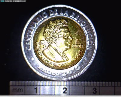 5 Pesos Centenario de la Revolución Mexicana: Ricardo Flores Magón 2008