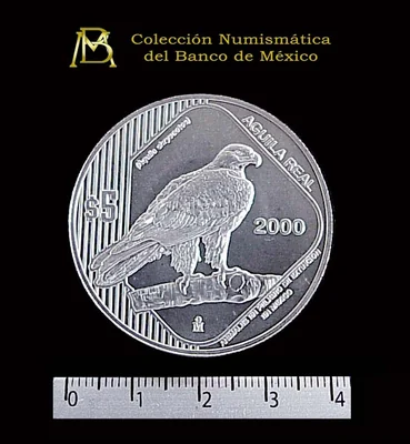 5 Pesos Plata Águila Real 2000