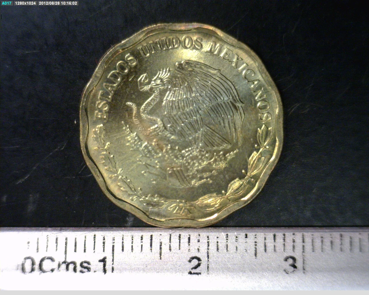 50 Centavos Bronce Aluminio 2009 · Anverso