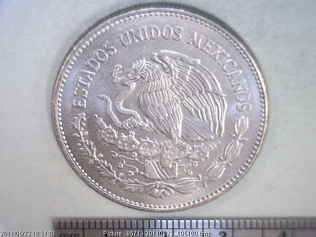 50 Pesos Cuproníquel 1983 (anverso)