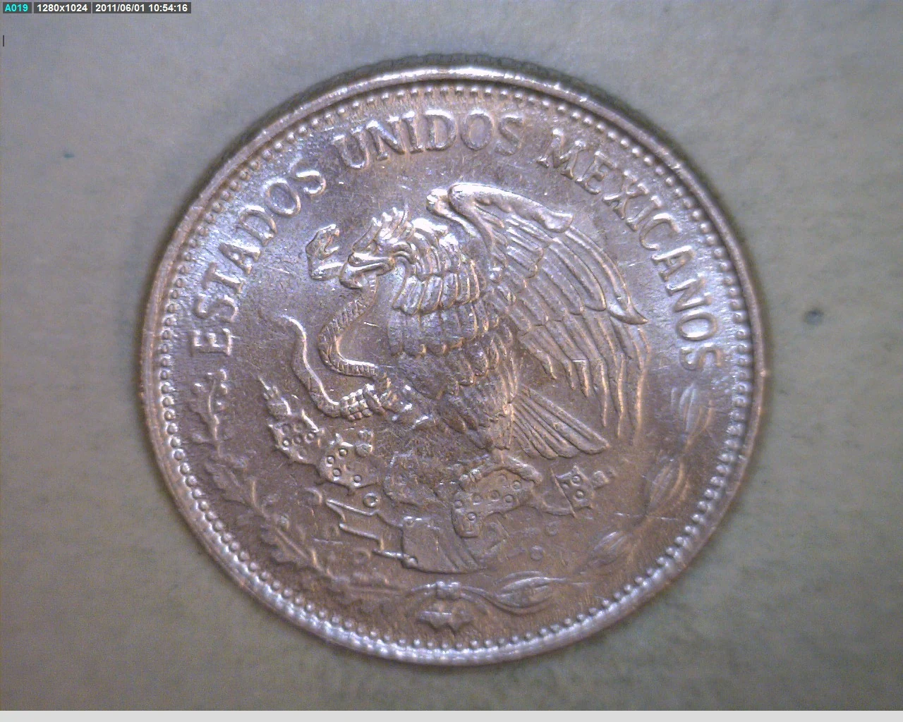 50 Pesos Cuproníquel 1985 (anverso)