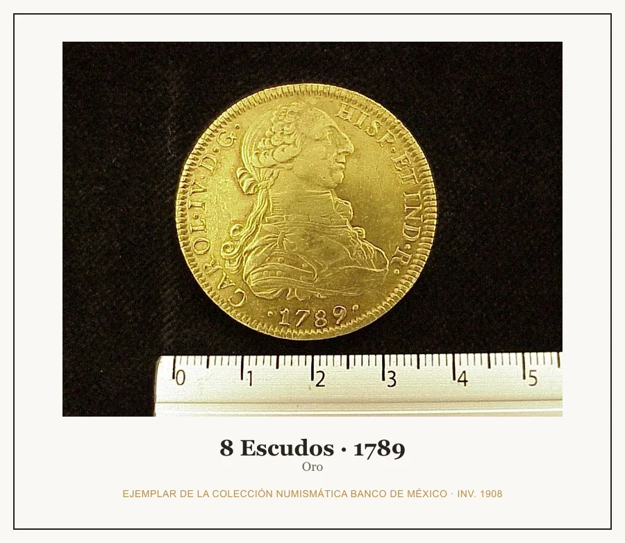 Moneda destacada de la serie 8 Escudos Carlos IV