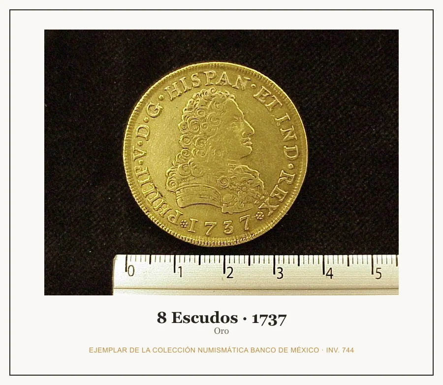 8 Escudos · 1737 — Ejemplar de la Colección Numismática Banco de México, inv. 744