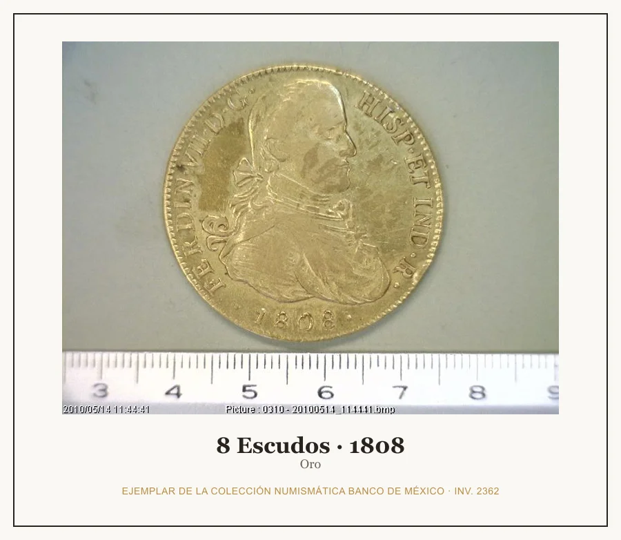 Moneda destacada de la serie 8 Escudos Fernando VII