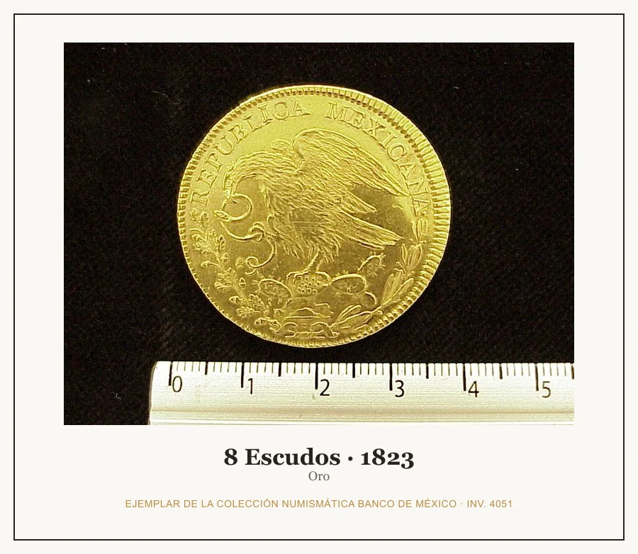 Moneda destacada de la serie 8 Escudos Octaval