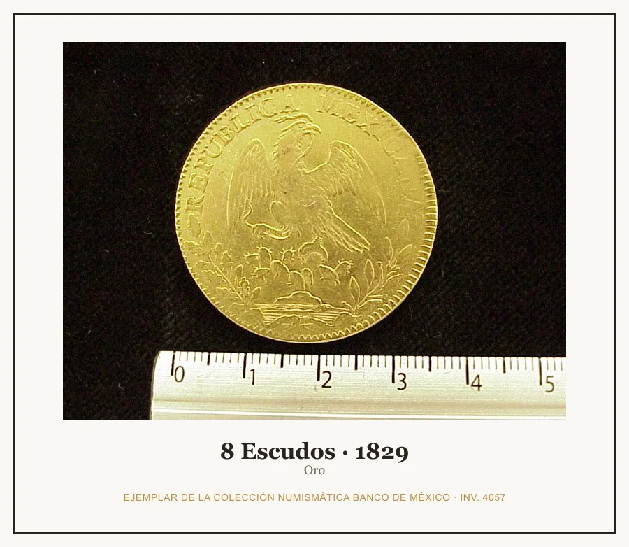 8 Escudos · 1829 — Ejemplar de la Colección Numismática Banco de México, inv. 4057
