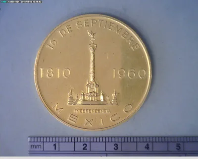 Medalla 1960 Año de la Patria (1960)