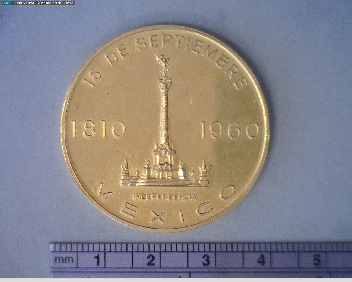 Medalla 1960 Año de la Patria (1960) (anverso)