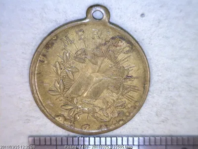Medalla A la aplicación