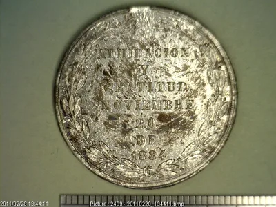 Medalla A los patriotas estudiantes (1884)