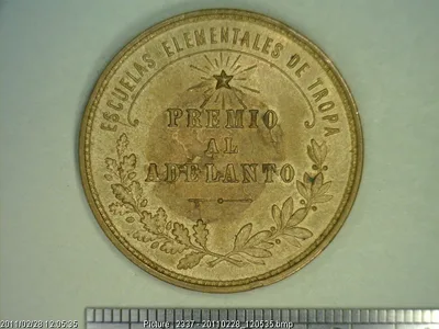 Medalla Al adelanto. Secretaría de Guerra y Marina