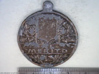 Medalla Al mérito