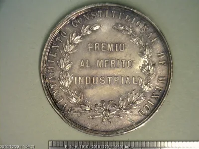 Medalla Ayuntamiento de México (1873)