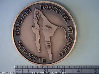 Medalla Banco del Atlántico. Exposición numismática (1991)