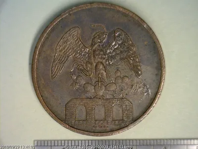Medalla [Cañería de las aguas del Desierto] (1883)