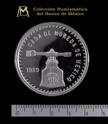 Medalla Casa de Moneda de México (1989)