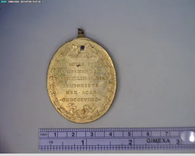 Medalla Ciudad de México (1808)