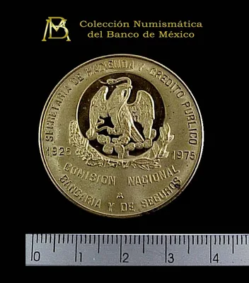 Medalla Comisión Nacional Bancaria y de Seguros (1975)